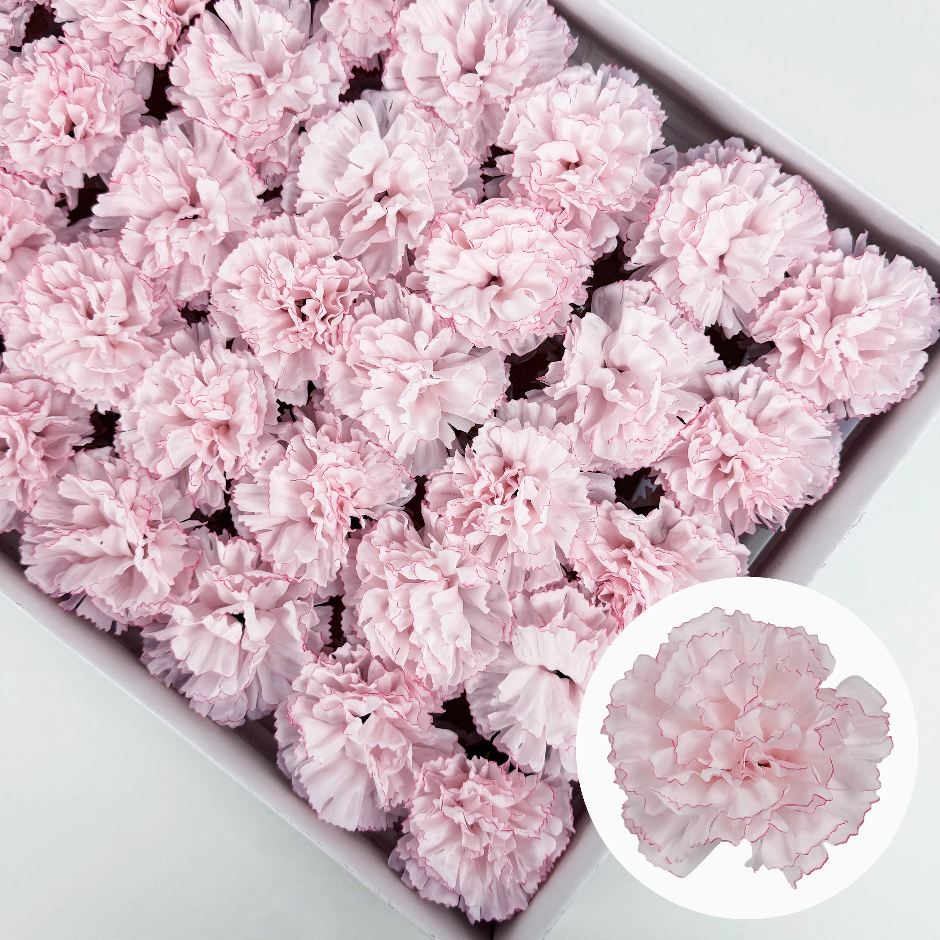 SF1002 5Layer Picotee Carnation Soap Flower 50pcs