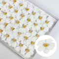 SF1009 Cosmos Soapbud Soap Flower 50pcs