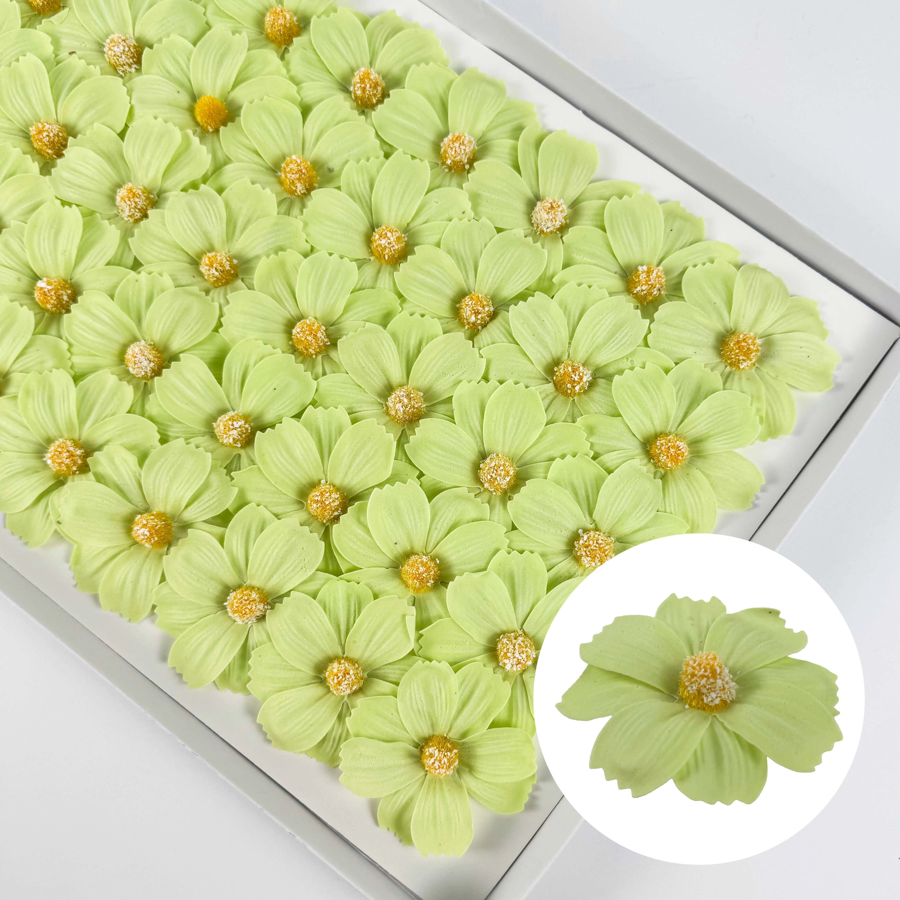 SF1009 Cosmos Soapbud Soap Flower 50pcs