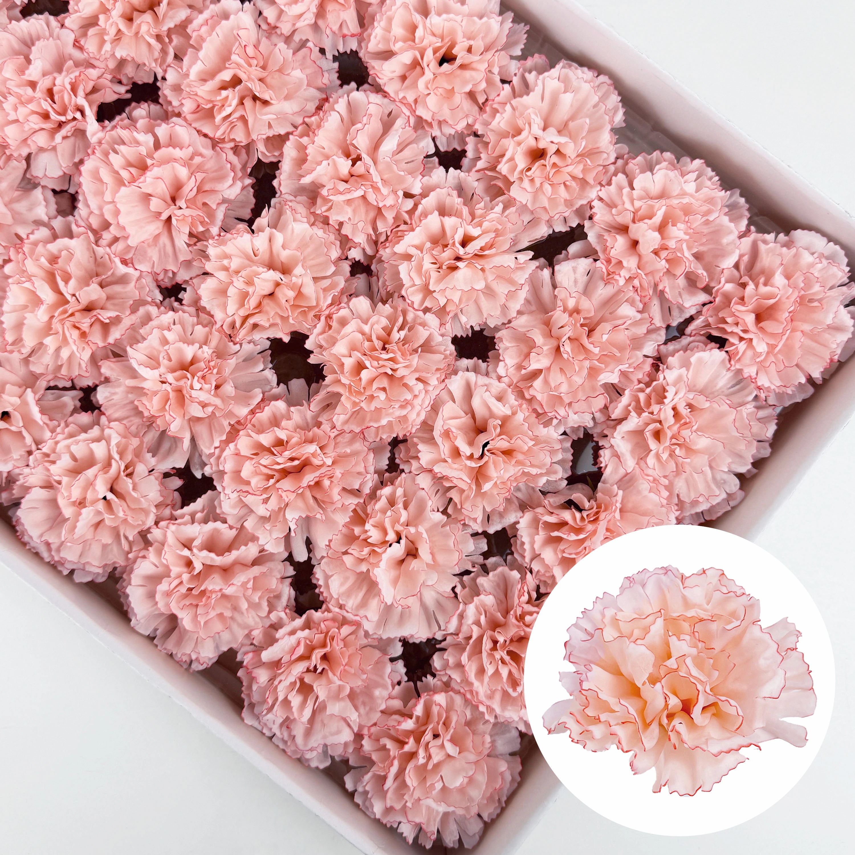 SF1002 5Layer Picotee Carnation Soap Flower 50pcs