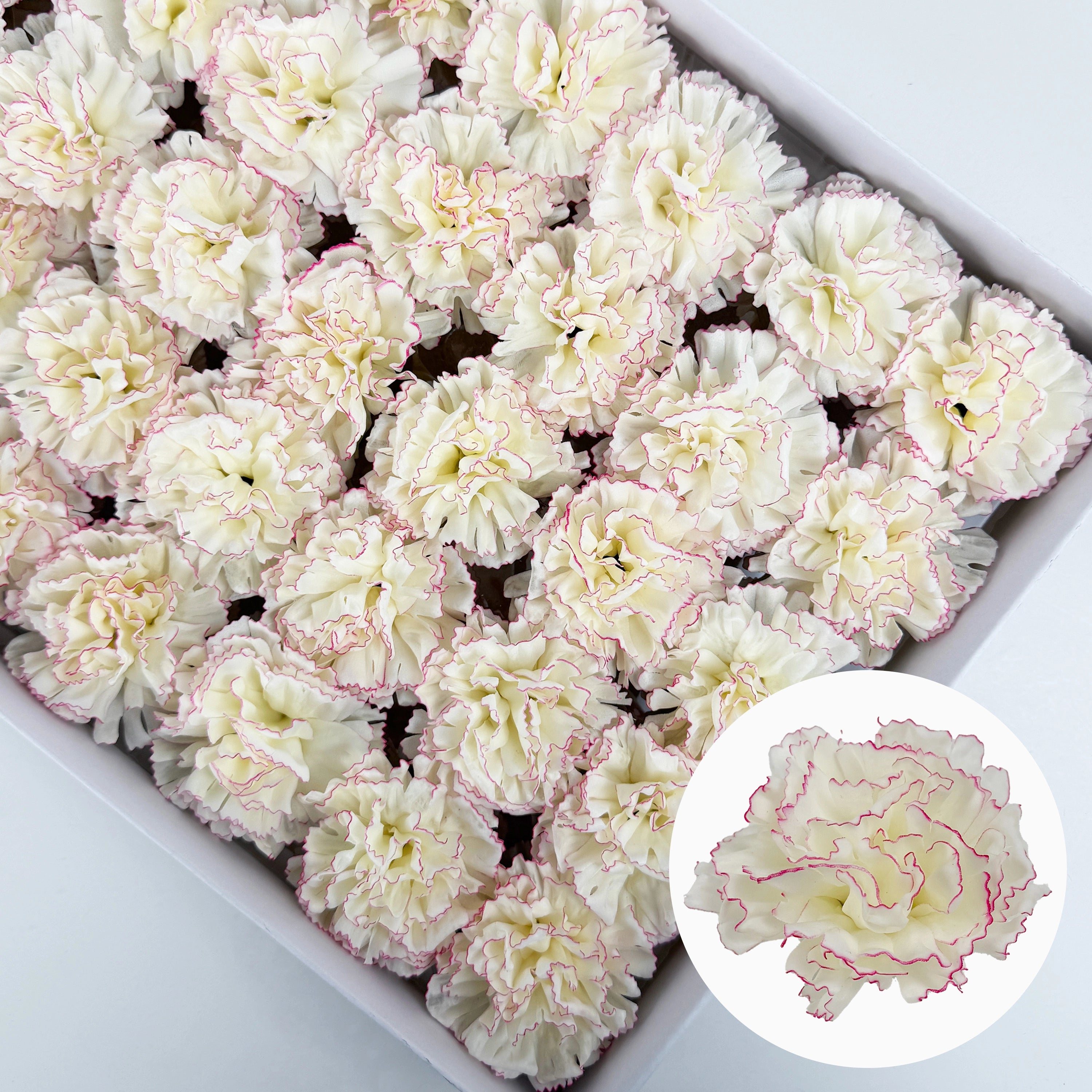 SF1002 5Layer Picotee Carnation Soap Flower 50pcs