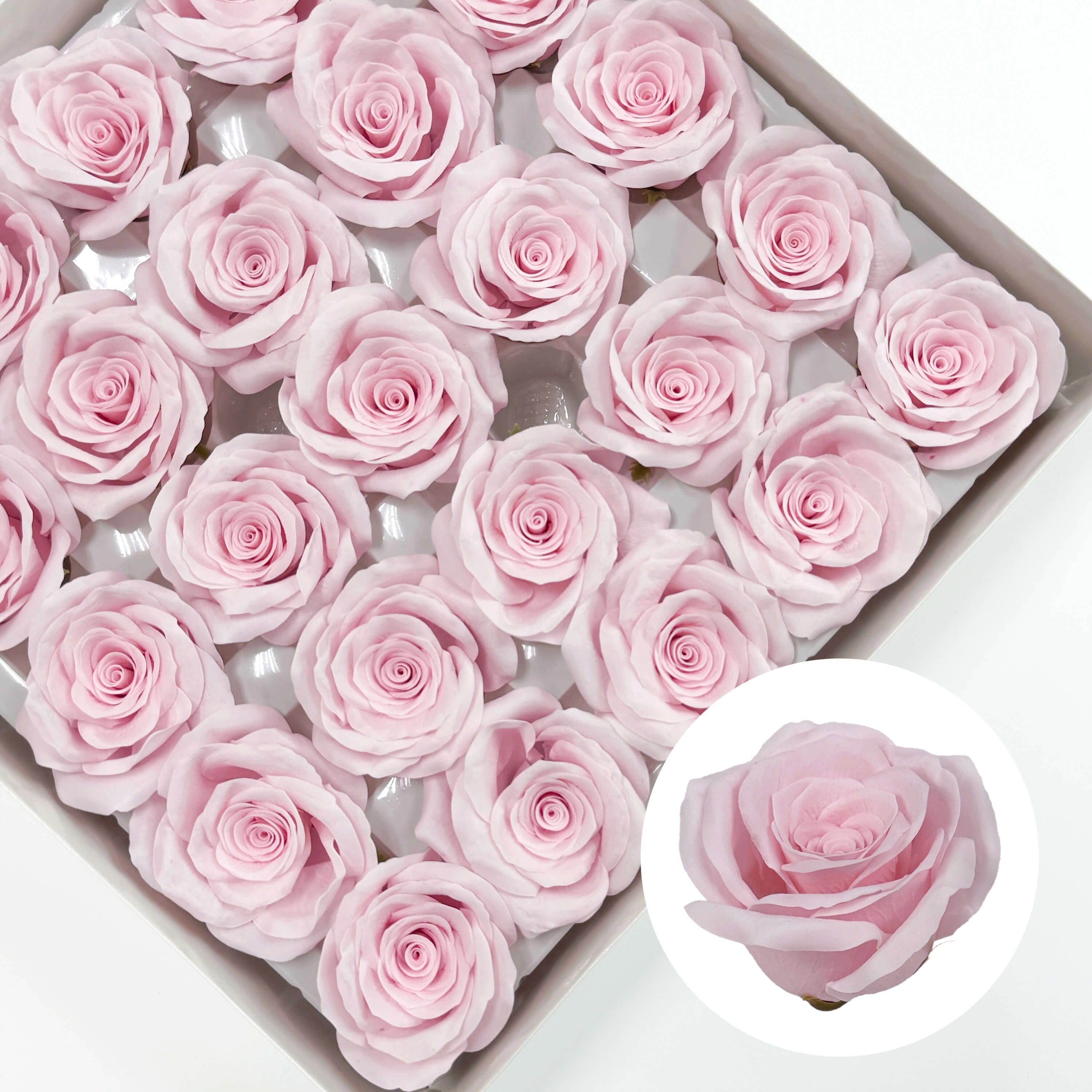 SF1005 Elsa Rose Soapbud Soap Flower 25pcs