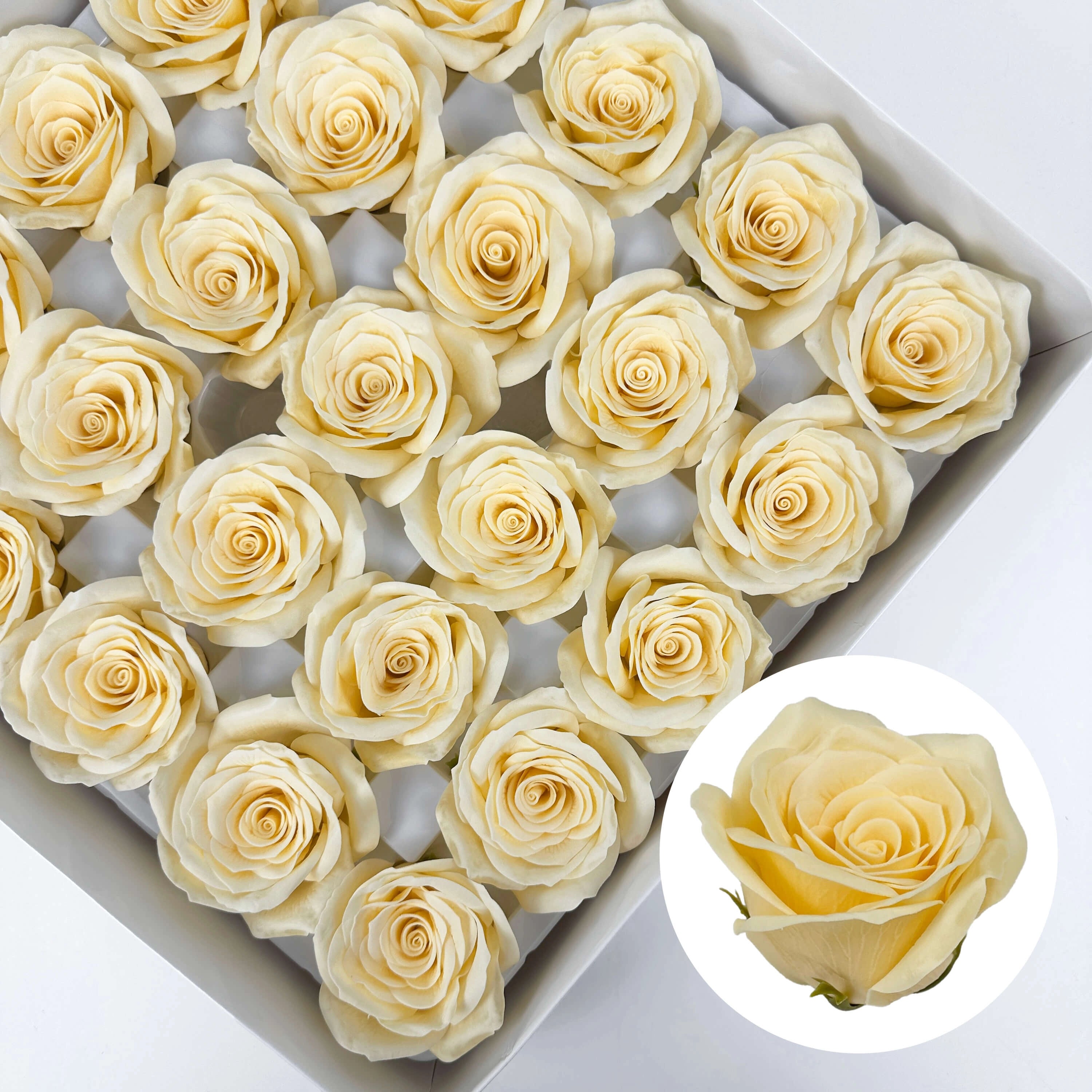 SF1005 Elsa Rose Soapbud Soap Flower 25pcs