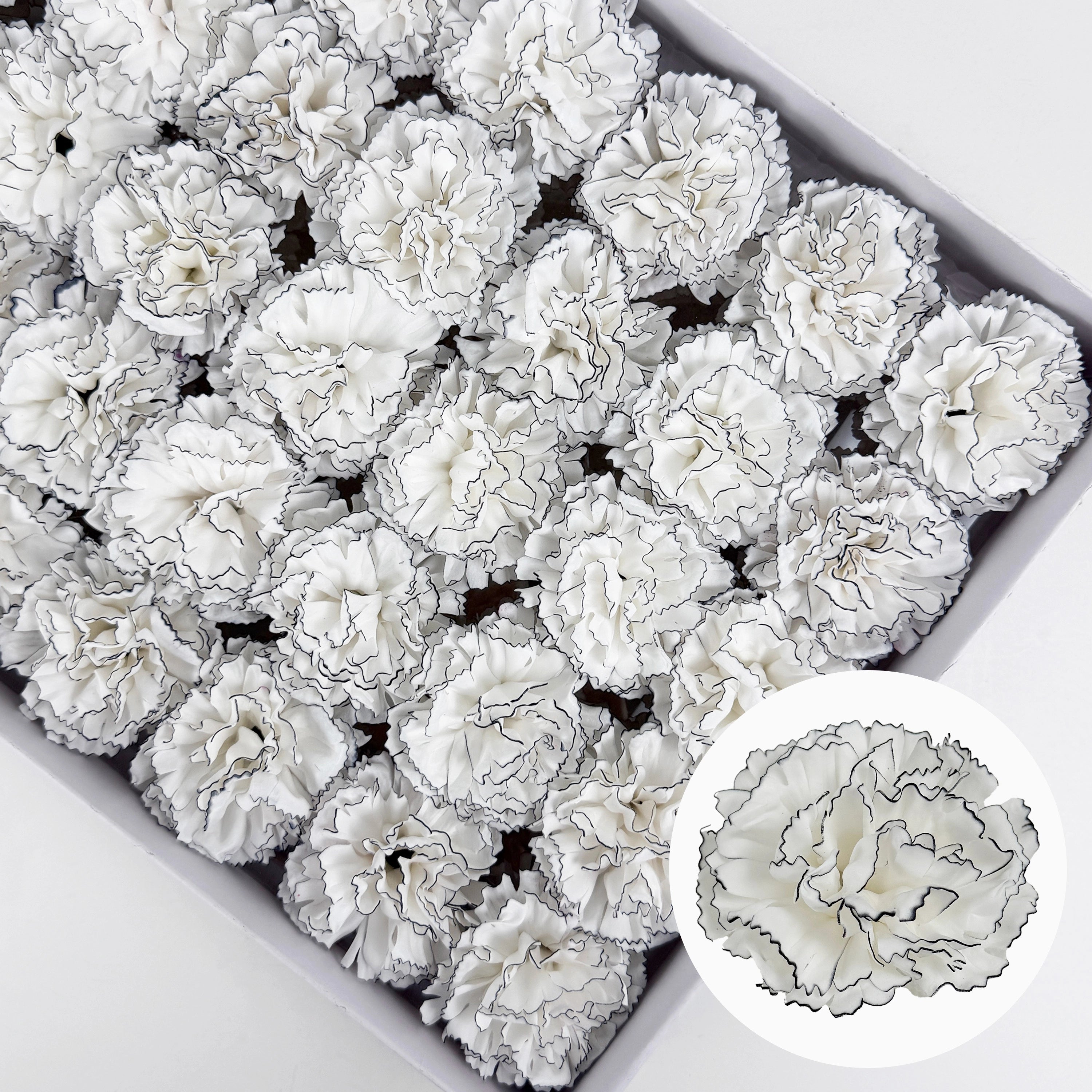 SF1002 5Layer Picotee Carnation Soap Flower 50pcs