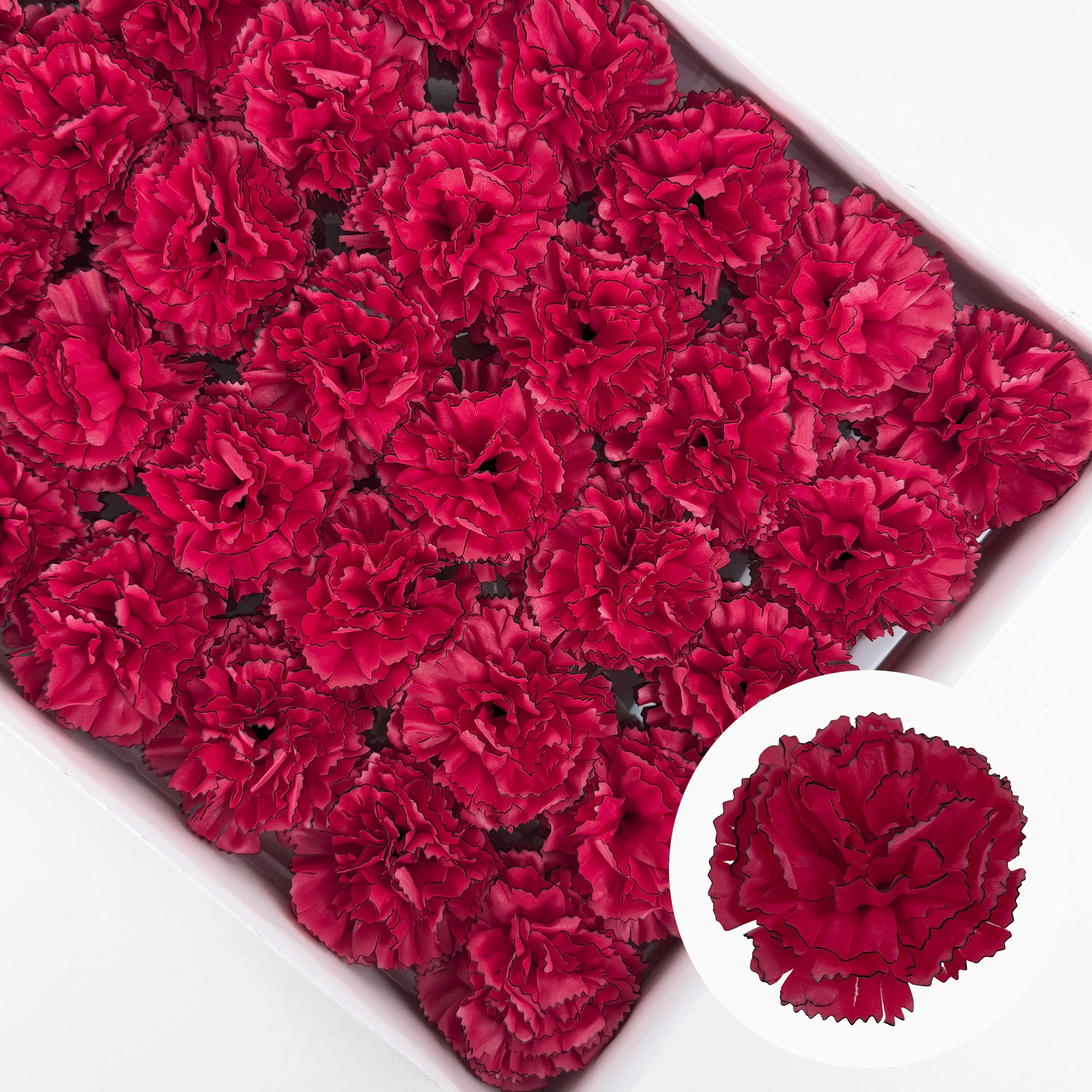 SF1002 5Layer Picotee Carnation Soap Flower 50pcs