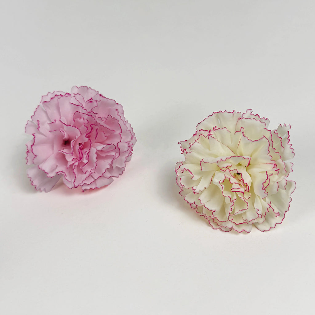 SF1002 5Layer Picotee Carnation Soap Flower 50pcs
